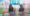 Wp header logo 32.png